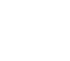 favicon 1 petzone